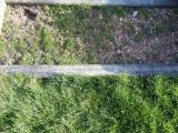 image of grave number 846293